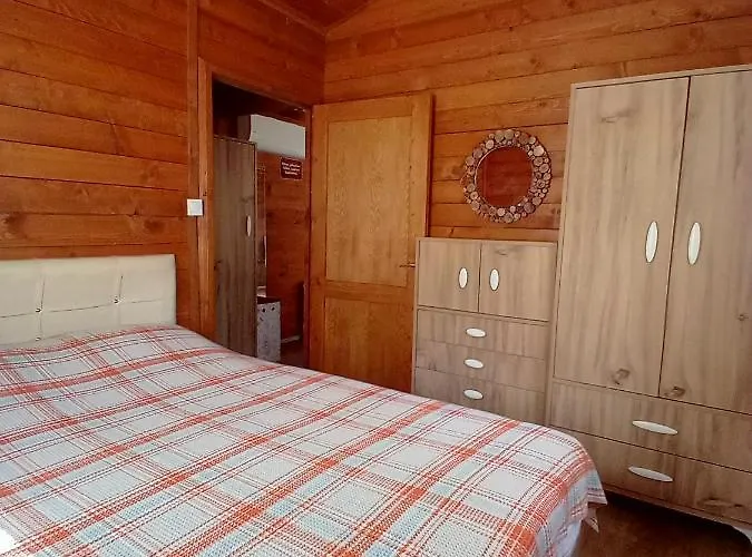아파트호텔 Defnewoodhome Bodrum