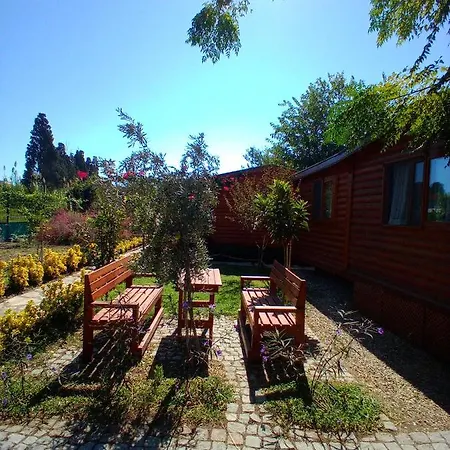 Defnewoodhome * Bodrum